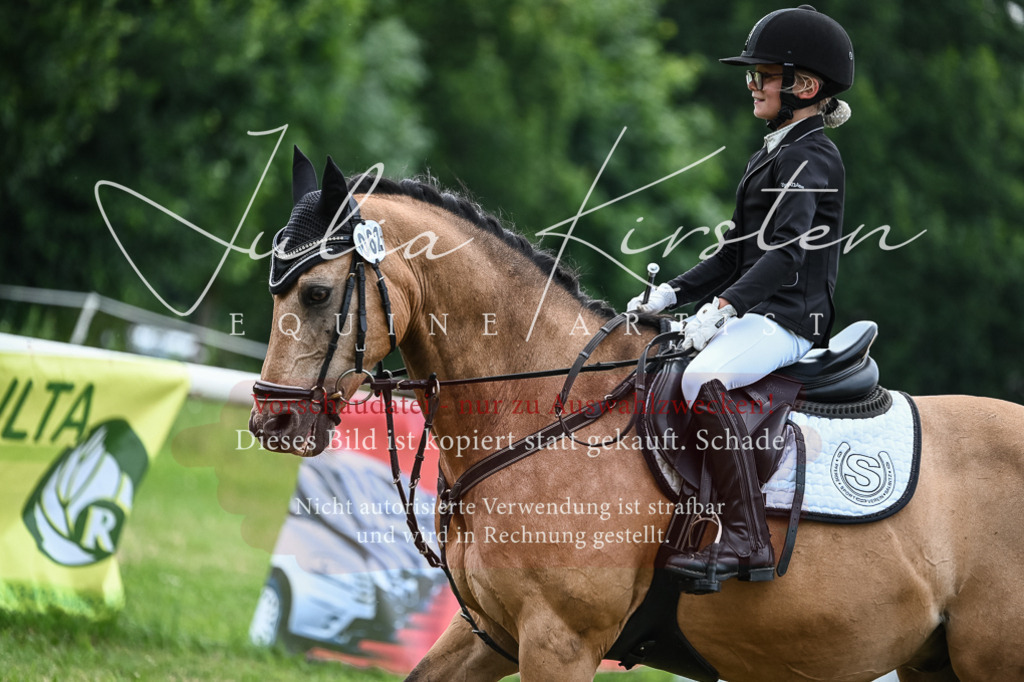 DSC_8590 | Pferde- und Turnierfotografie in Westsachsen. Pferdeportraits, Auftragszeichnungen und intuitive Kunst.