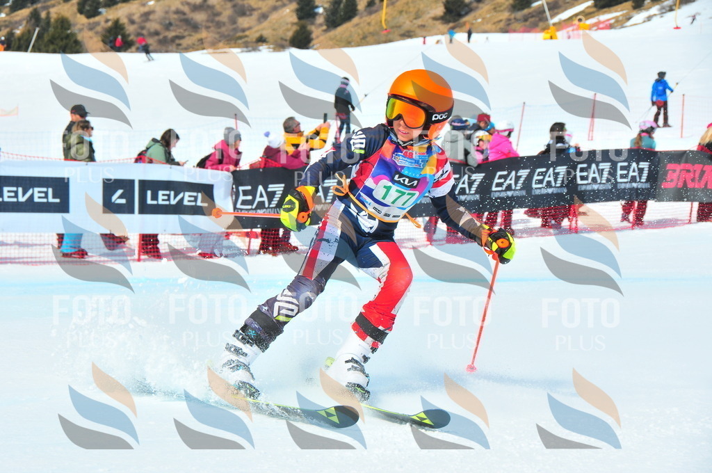 DSC_1618 | holidayphoto