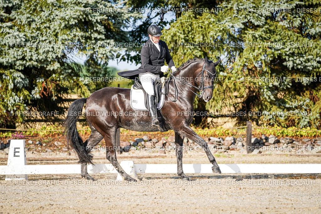 DSC00783 | Pferdegrafie