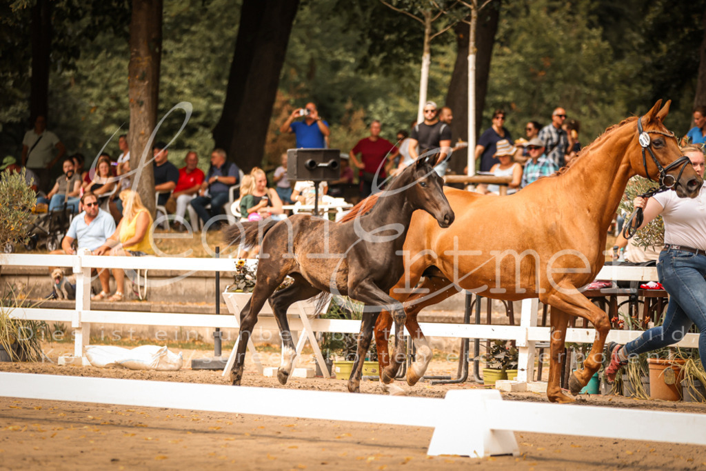 SaPA00139 | Leoni Ertmer Photography - Realisiert mit Pictrs.com