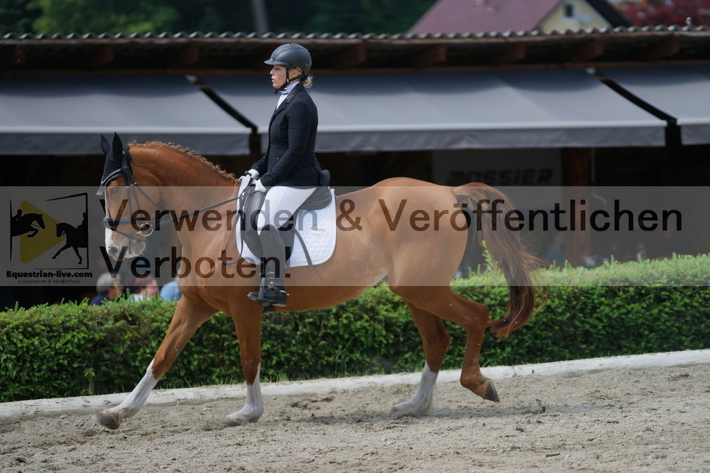 DSC05307 | equestrian-live-com