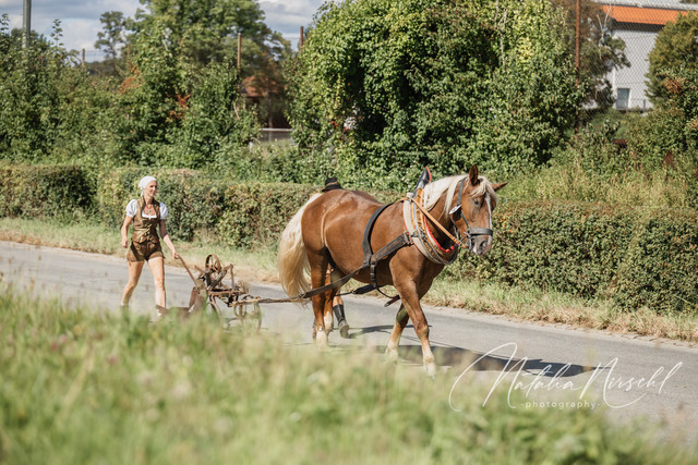 7V6A1697 | natalia-nirschl-photography