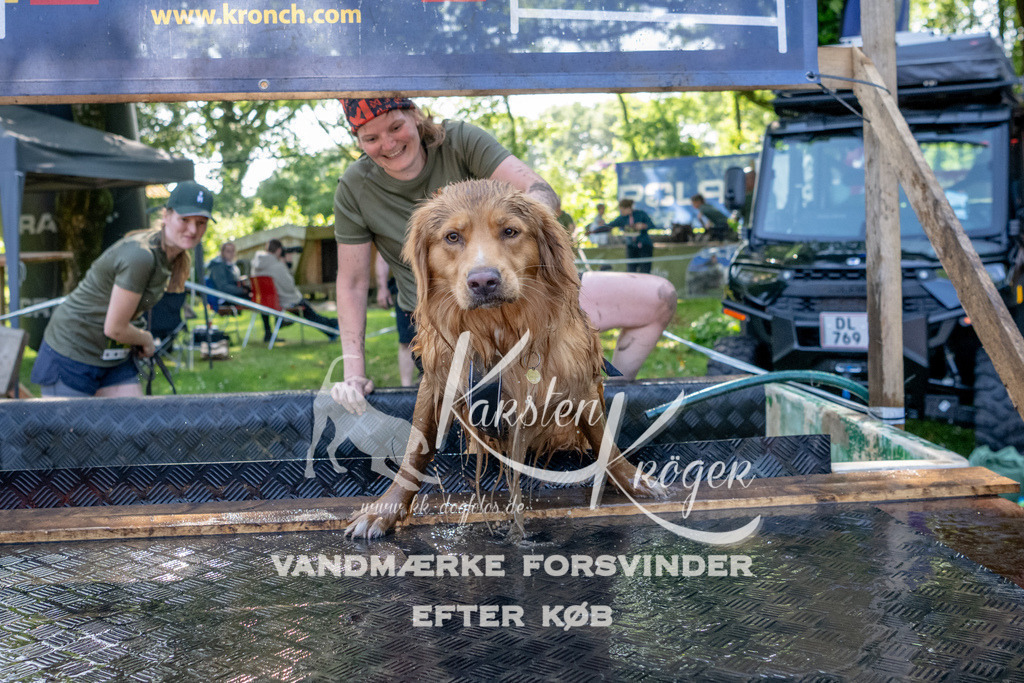 1539_ZZ92511 | kk-dogfotos