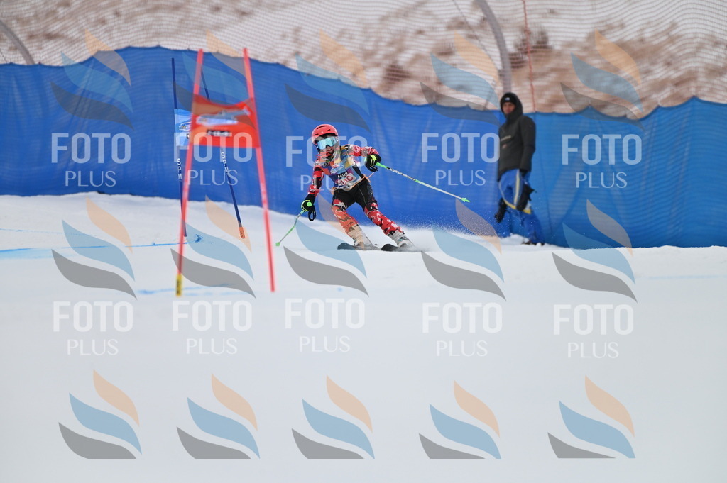 BGV_1341 | holidayphoto