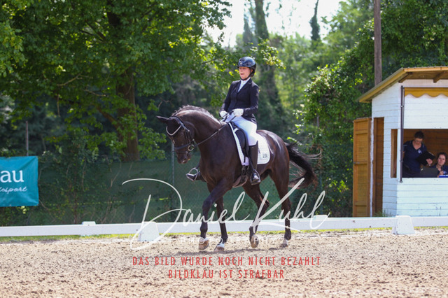 DKP42457 | Turniersportfotografie; Pferdefotografie; Dressurfotografie