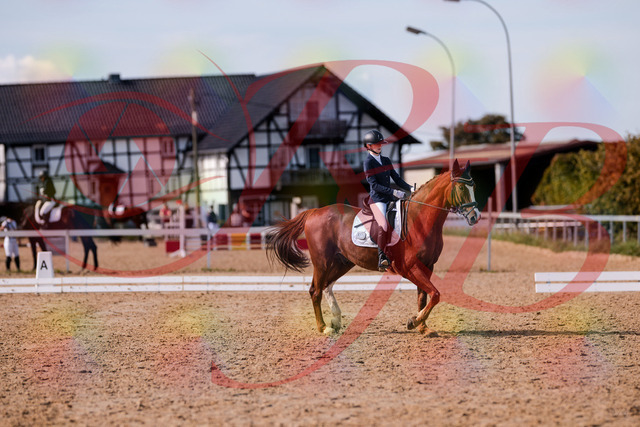 2026_10_03_Siefer-Hof_133156_Z81_87450886 | Professionelle Reitsport-, Turnier- und Eventfotografie von Robert Broda. Galerien mit ausgewählten und bearbeiteten Bildern direkt online ansehen und bestellen.