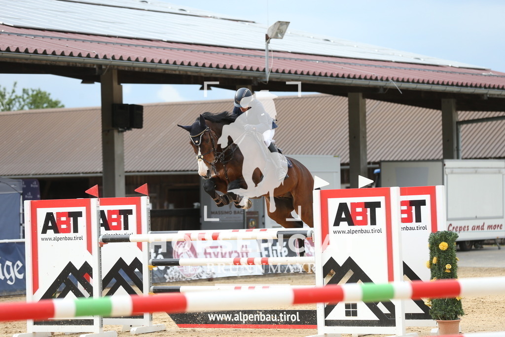 DL2Q4024 | Willkommen bei Brunnmayr - Design & Fotografie – Ihrem Spezialisten für Reitturniere und Pferdeveranstaltungen in Oberösterreich, Salzburg und Bayern! Seit über 17 Jahren sind wir leidenschaftlich dabei.