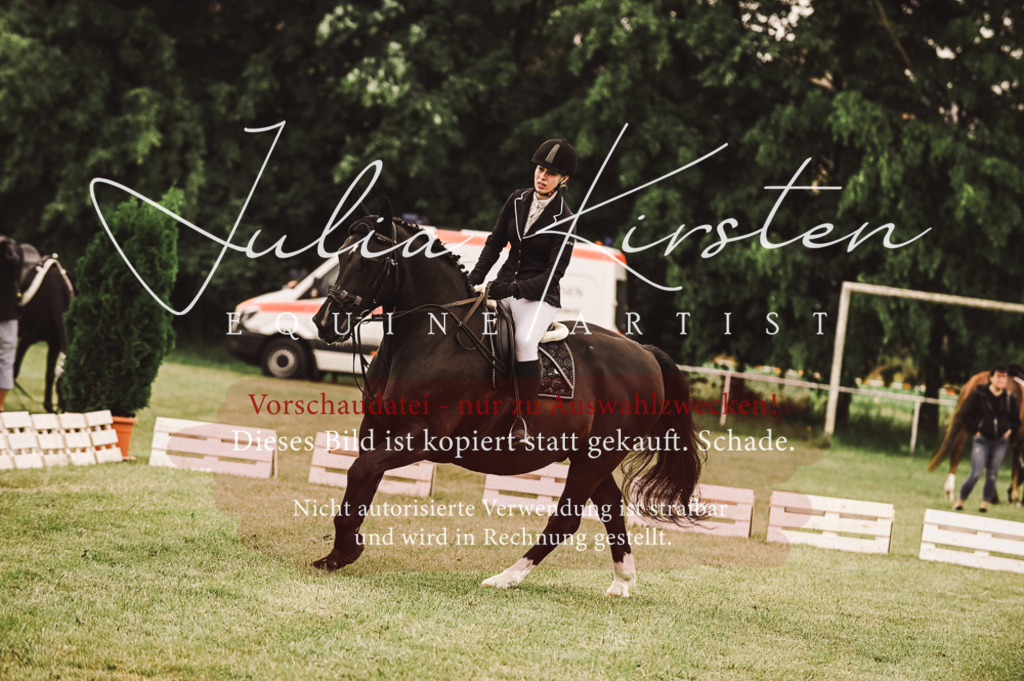DSC_5000 | Pferde- und Turnierfotografie in Westsachsen. Pferdeportraits, Auftragszeichnungen und intuitive Kunst.