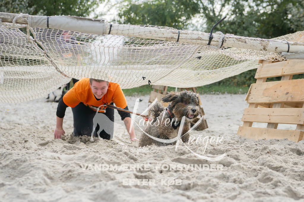 1309_ZZ95570 | kk-dogfotos