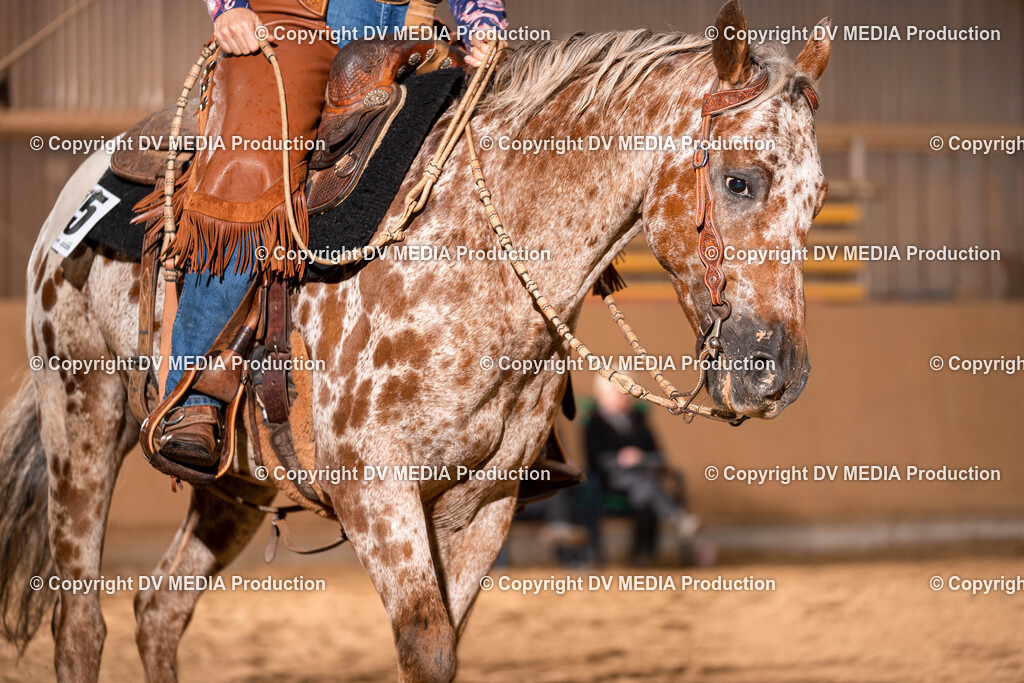 Losheim Tag 1-89 | dv-media-shop - Realisiert mit Pictrs.com