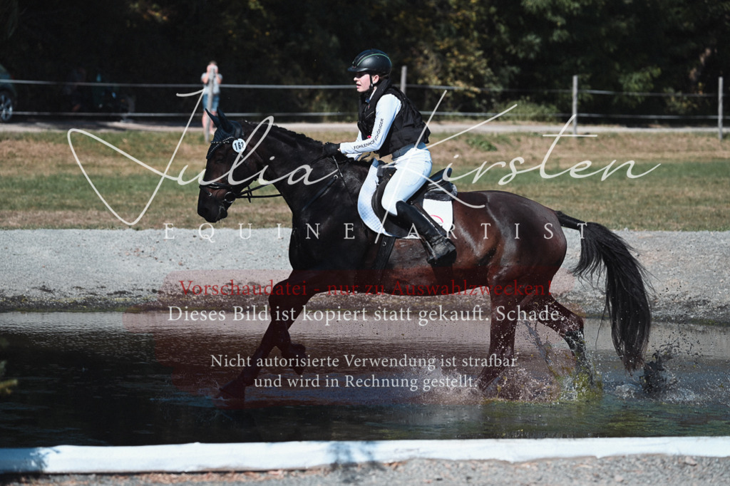 DSC_8661 | Pferde- und Turnierfotografie in Westsachsen. Pferdeportraits, Auftragszeichnungen und intuitive Kunst.