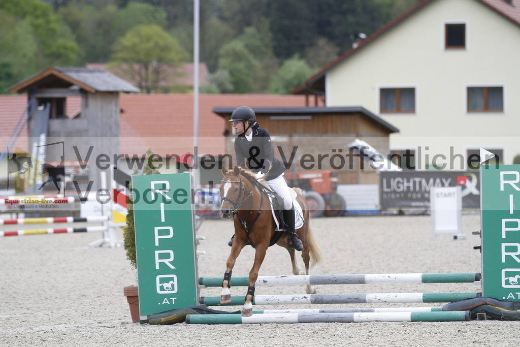 _MG_0598 | equestrian-live-com