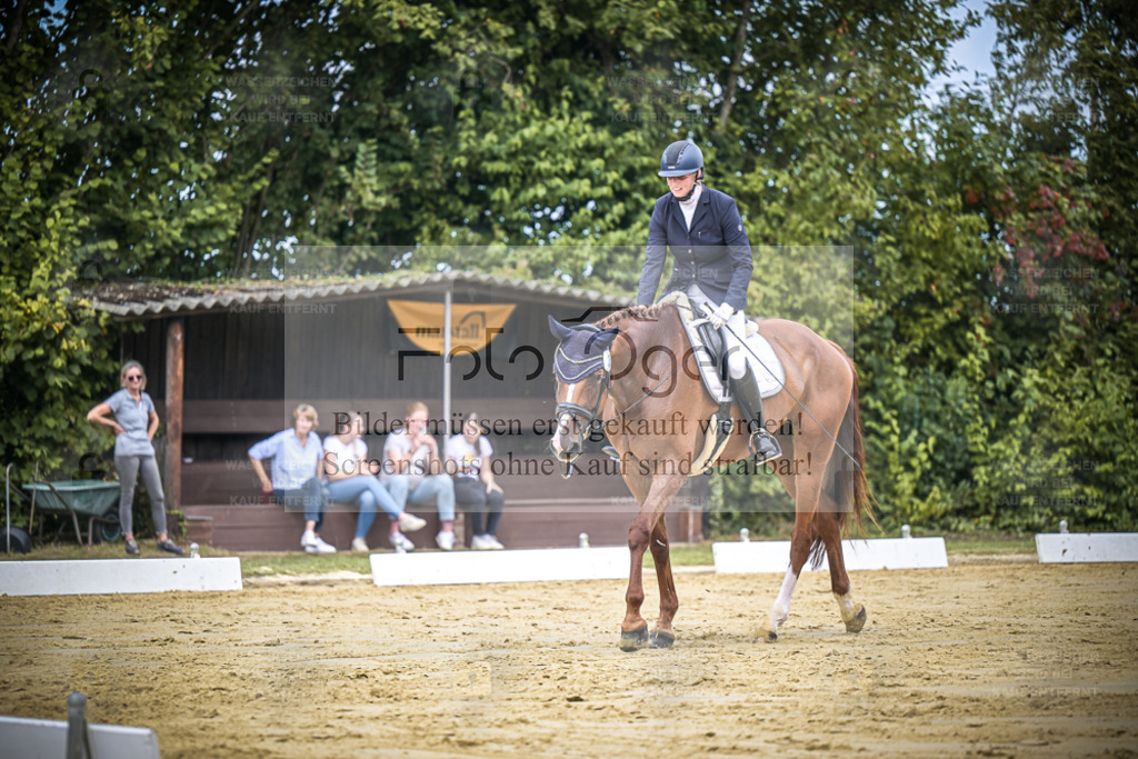 DOS_1831 | Entdecke hochwertige Reitturnierfotos von Foto Oger. Professionell, emotional und authentisch – jetzt Lieblingsmomente im Shop bestellen. - Realisiert mit Pictrs.com