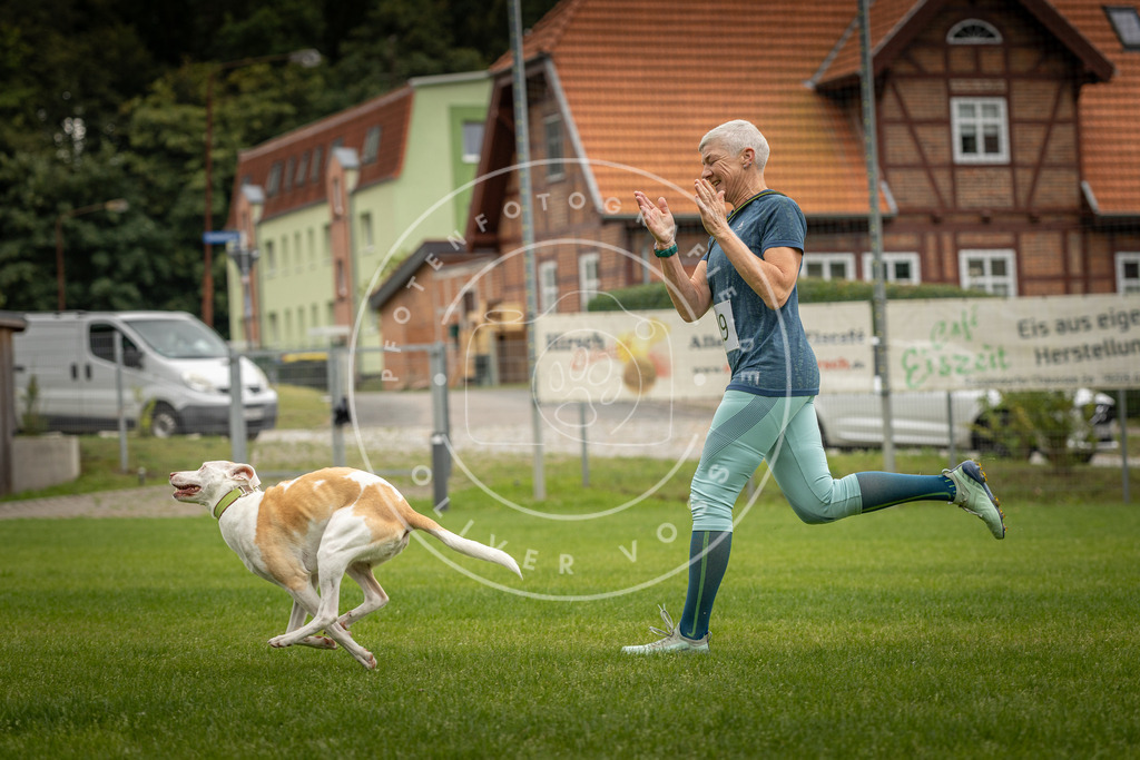 Pfotenfotografie_DV3A8321 | Hundefotografie, Tierfotograf, Pfotenfotografie, Fotoshooting Hund, Hunde Portrait, Hundesport, Hundeportraits, Heideshooting, Hunde, Sportfotograf, Hundefotograf, Turnierhundsport, THS,  - Realisiert mit Pictrs.com