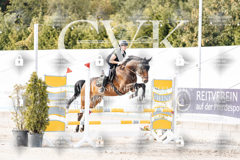 CK906256 | Turnierfotografie Pferdefotografie Trier Rheinland-Pfalz Pferdesport Reitsport Tierfotografie Sportfotografie Pferdevideo Pferdevideografie Equestrianvideography equestrianphotography  - Realisiert mit Pictrs.com