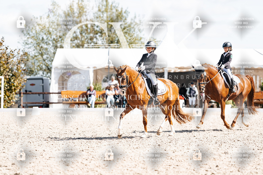 CK903046 | Turnierfotografie Pferdefotografie Trier Rheinland-Pfalz Pferdesport Reitsport Tierfotografie Sportfotografie Pferdevideo Pferdevideografie Equestrianvideography equestrianphotography  - Realisiert mit Pictrs.com