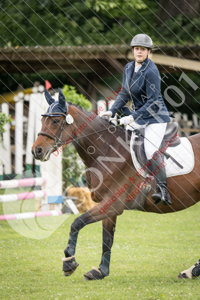 IMG_2548 | Sport-, Event- und Tierfotos in Profiqualität. Einfach auswählen, bestellen und herunterladen. Dein Moment – perfekt festgehalten.
