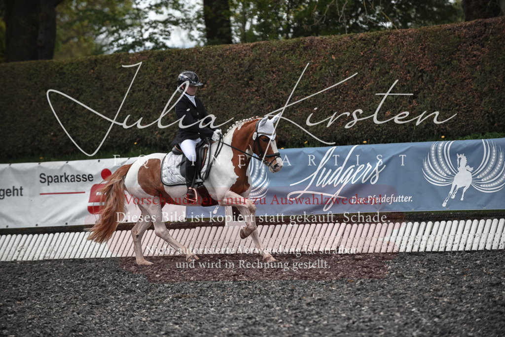 20230513_JK-Röhrsdorf-14-763 | Pferde- und Turnierfotografie in Westsachsen. Pferdeportraits, Auftragszeichnungen und intuitive Kunst.