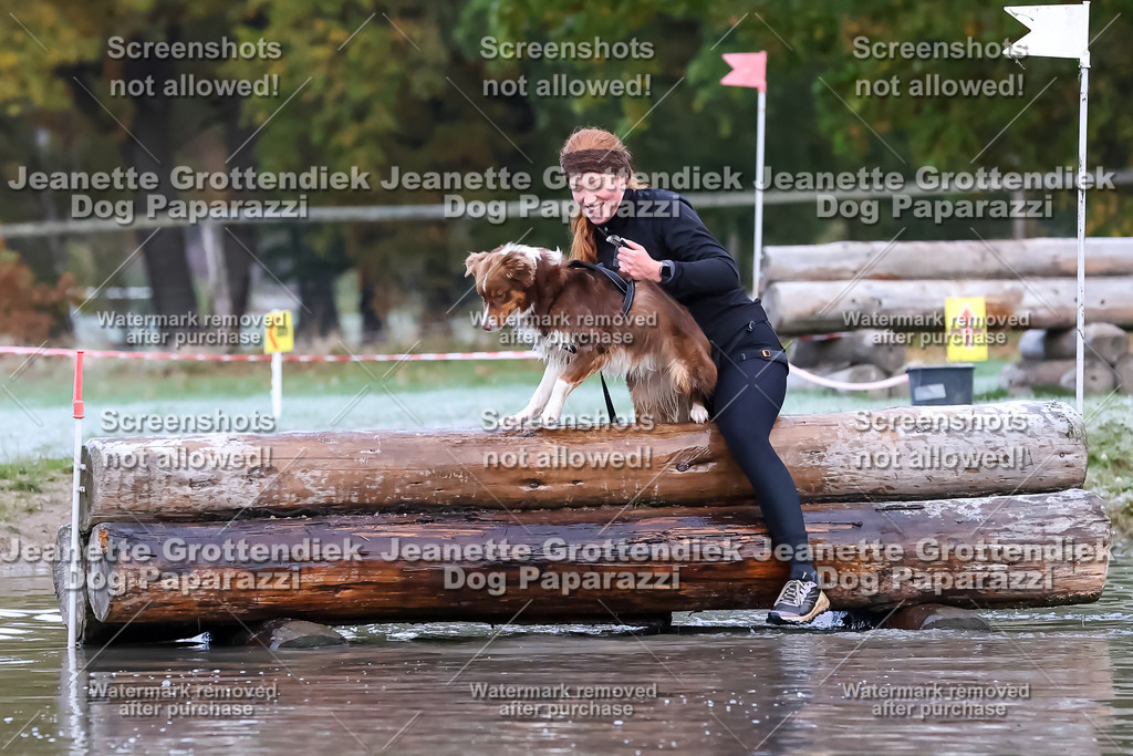 Dog Paparazzi - Strongdog 10-25-6162 | Dog Paparazzi Jeanette Grottendiek Fotografie & Videografie - Realisiert mit Pictrs.com