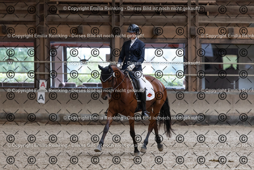 CL5A1062 | Emilia Reinking Fotografie - Realisiert mit Pictrs.com