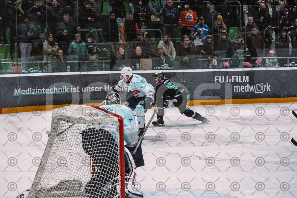 Alligators_vs_Heilbronn_08_02_2026-30 | Höchstadt Alligators Fotogalerie: Eishockey-Action aus Franken. Professionelle Spielfotos, Portraits & Stadionbilder zum Download. Jetzt entdecken! - Realisiert mit Pictrs.com
