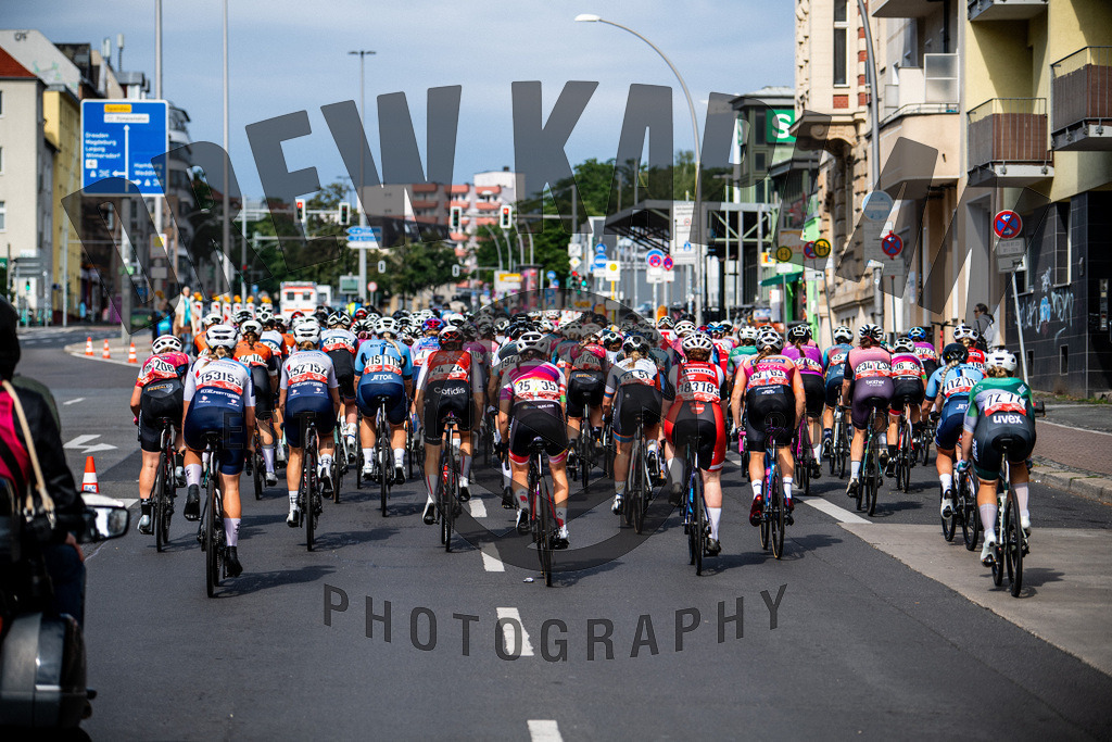 _DKP9919 | Drew Kaplan Photography