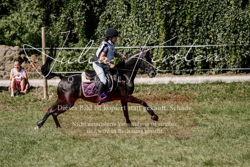 DSC_1942 | Pferde- und Turnierfotografie in Westsachsen. Pferdeportraits, Auftragszeichnungen und intuitive Kunst.