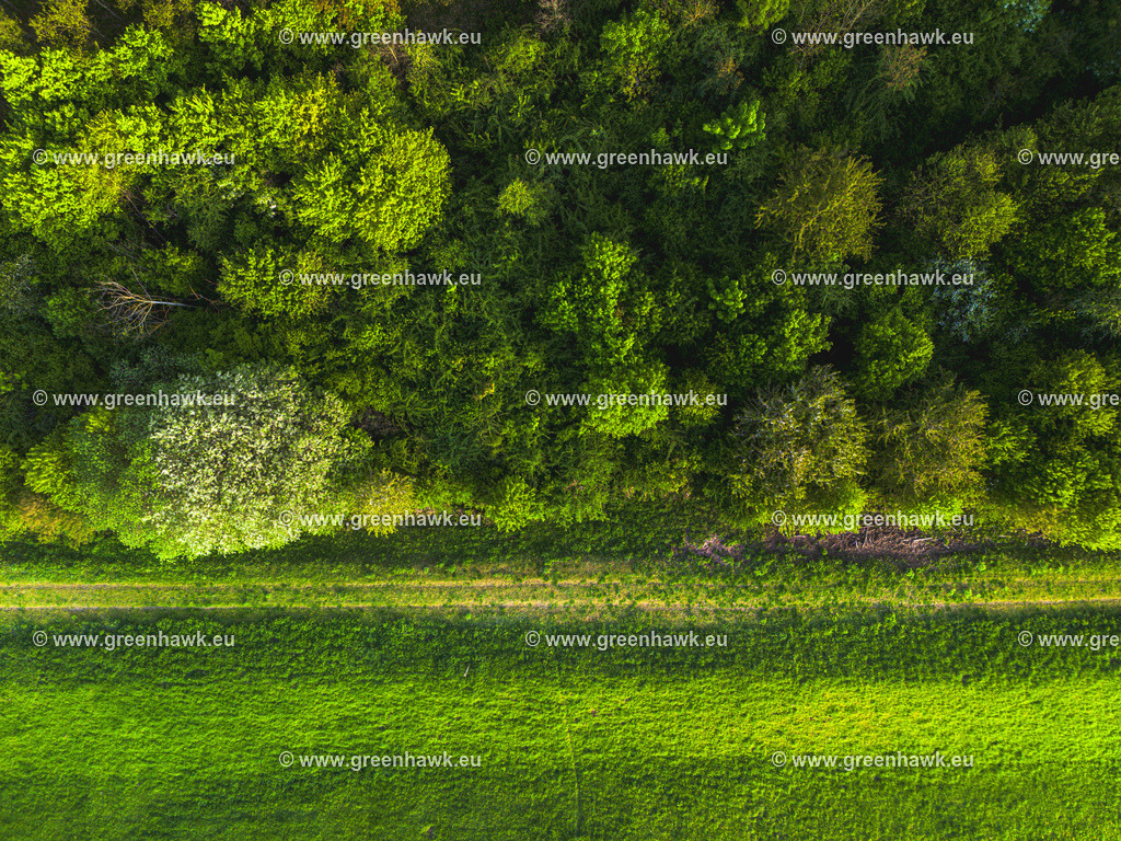 DJI_0396 | Greenhawks Bilder Shop für Landschaften, Urban, Tiere und weiteres als Poster Leinwand oder Fotogeschenk für Ostern Weihnachten oder Geburtstag  - Realisiert mit Pictrs.com