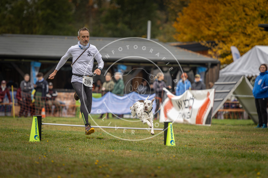 Pfotenfotografie_DV3A1823 | Hundefotografie, Tierfotograf, Pfotenfotografie, Fotoshooting Hund, Hunde Portrait, Hundesport, Hundeportraits, Heideshooting, Hunde, Sportfotograf, Hundefotograf, Turnierhundsport, THS,  - Realisiert mit Pictrs.com