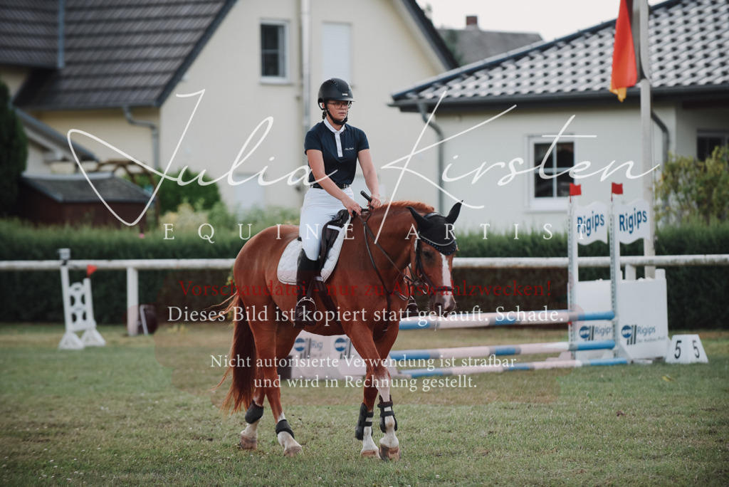 DSC_5623 | Pferde- und Turnierfotografie in Westsachsen. Pferdeportraits, Auftragszeichnungen und intuitive Kunst.
