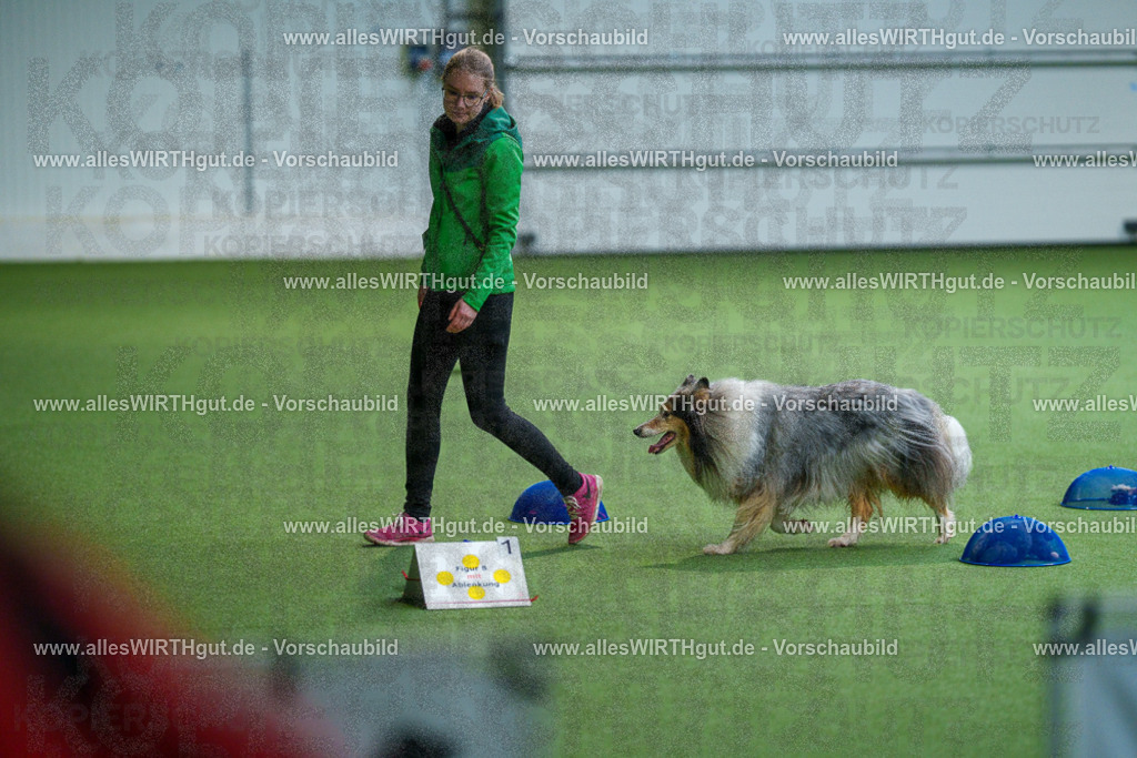 7R506213 | Professionelle Tierfotografie in Mönchengladbach von Daniel Wirth (allesWIRTHgut). Liebevolle & natürliche Bilder von Hunden & Katzen für unvergessliche Erinnerungen.