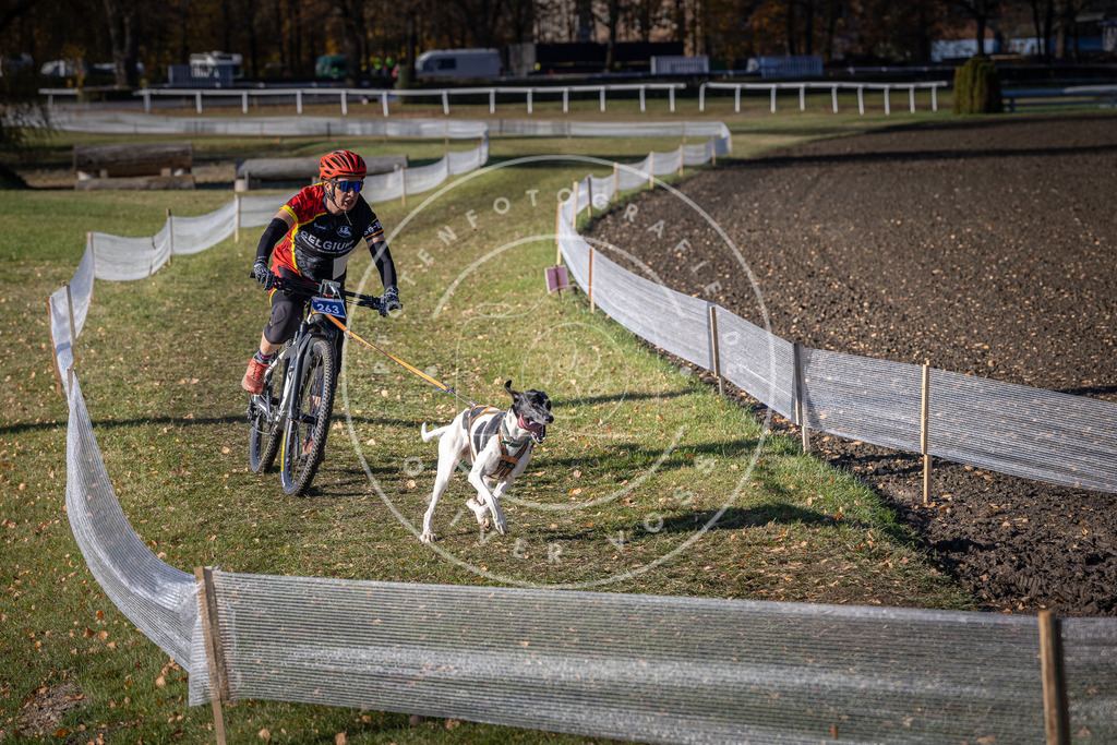 CaniXpix_DV3A4952 | Hundefotografie, Tierfotograf, Pfotenfotografie, Fotoshooting Hund, Hunde Portrait, Hundesport, Hundeportraits, Heideshooting, Hunde, Sportfotograf, Hundefotograf, Turnierhundsport, THS,  - Realisiert mit Pictrs.com