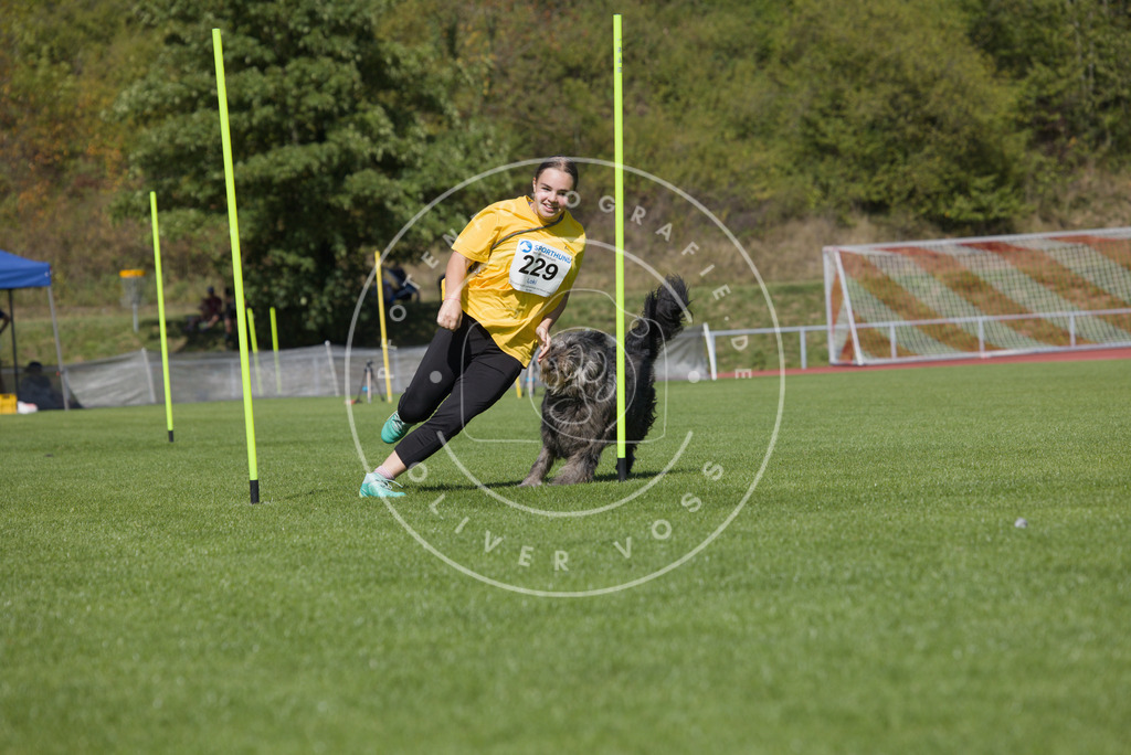 0L8A7235 | Hundefotografie, Tierfotograf, Pfotenfotografie, Fotoshooting Hund, Hunde Portrait, Hundesport, Hundeportraits, Heideshooting, Hunde, Sportfotograf, Hundefotograf, Turnierhundsport, THS,  - Realisiert mit Pictrs.com