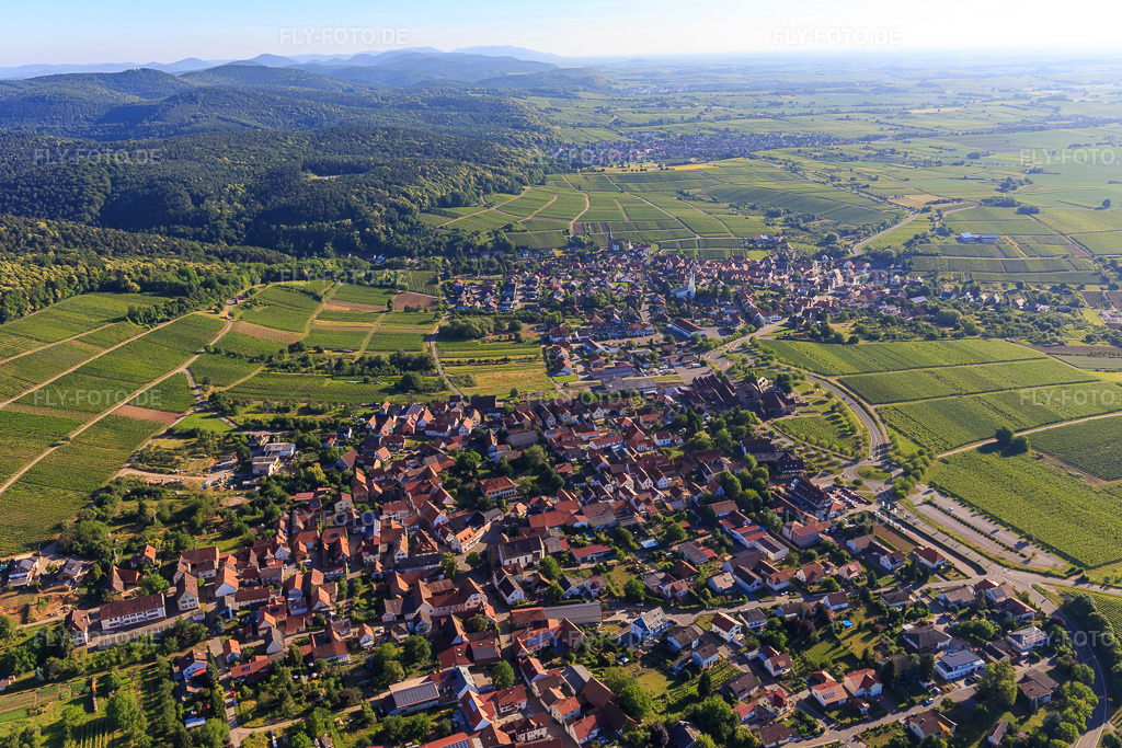 Luftbild: Winzerdorfansicht von Süden am Beginn der Deutschen Weinstr im Ortsteil Schweigen in Schweigen-Rechtenbach im Bundesland Rheinland-Pfalz in Deutschland. Foto: IMG_100989.jpg vom 17.06.2017 durch Werner Riehm/FLY-FOTO.de
