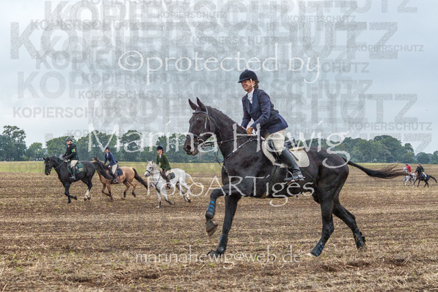 Jagd Perdoel_MarinaHewigMCH04163-2 | Fotografie, FotoArt, PferdesportArt, Pferdesportfotografie, Landschaftsfotografie, Reisefotografie, Reise, Pferde - Realisiert mit Pictrs.com