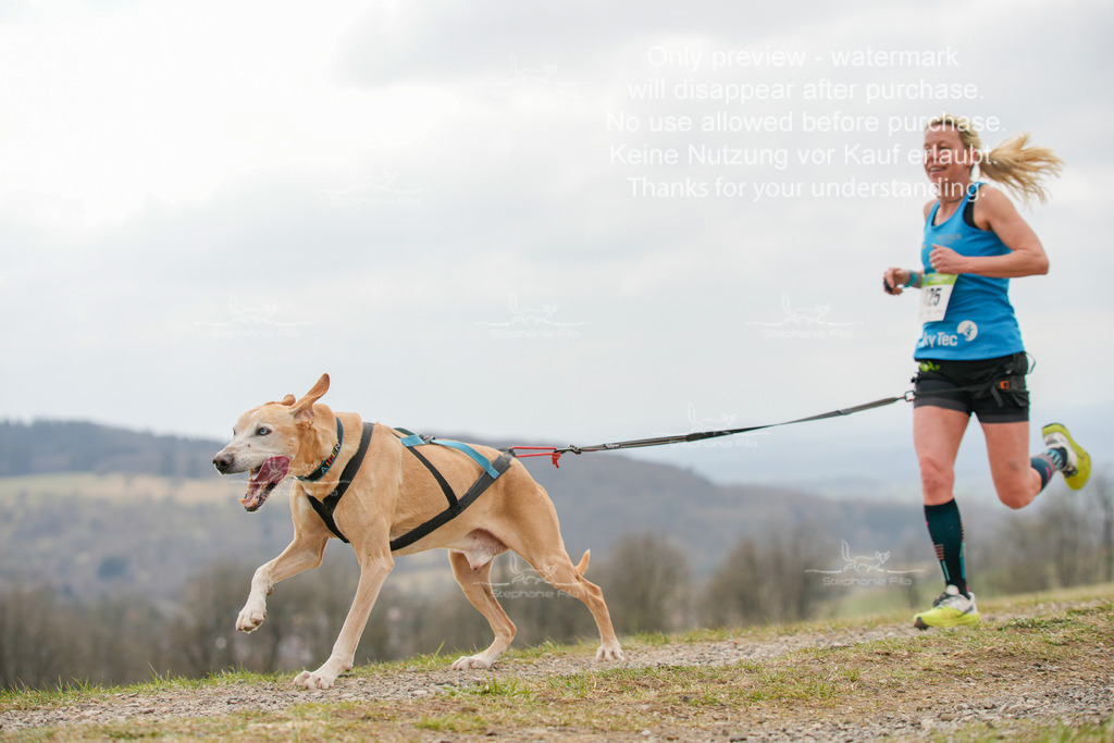 CaniXRunSA-157 | stephaniefillaphotographie - Realisiert mit Pictrs.com