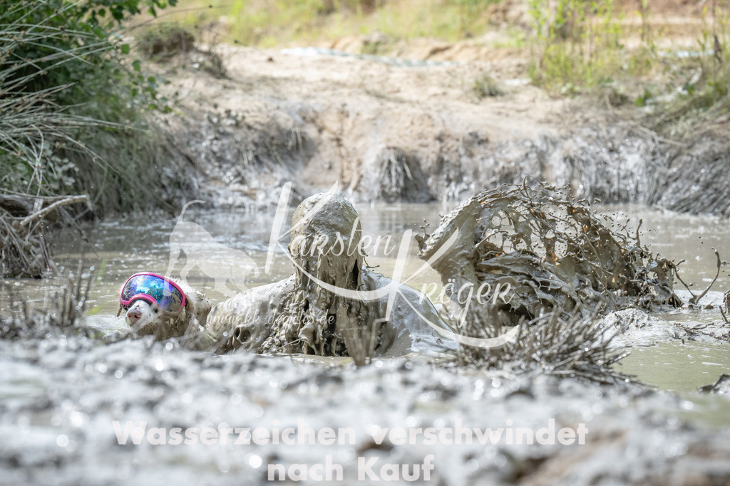 1059_ZZ90875 | kk-dogfotos