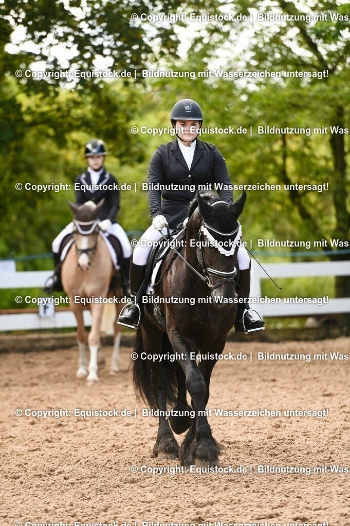 20230716_04_Dressurreiterprüfung Kl.A_0355 | equistock