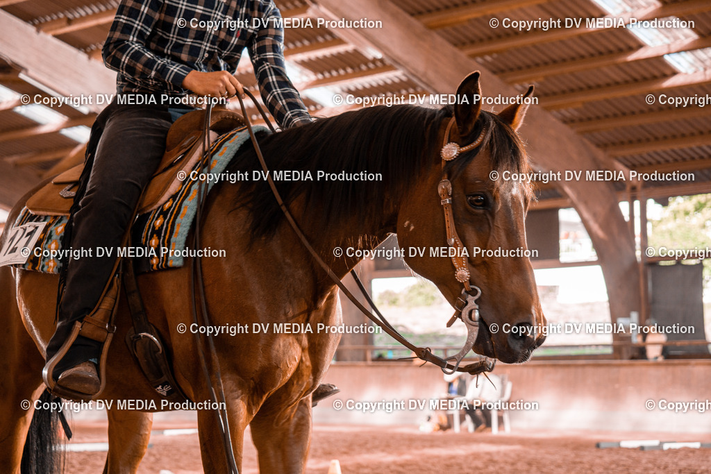 NE300149 | dv-media-shop - Realisiert mit Pictrs.com