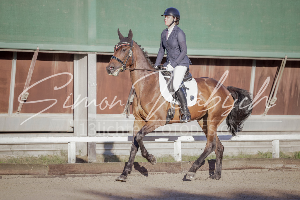 20250906-_3LI2742 | Tierfotografie Pferde, Hunde, Katzen, Haustiere.
Turnierfotografie Reitturniere, Reiten, Springreiten, Dressur in Hanau, dem Main-Kinzig-Kreis und dem Rhein-Main- Gebiet um Frankfurt