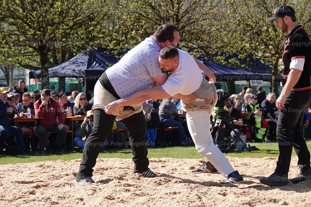 DSC02281 | Schwingen - Realisiert mit Pictrs.com