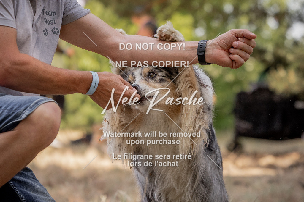 nelerasche_soDD2_120 | nelerasche