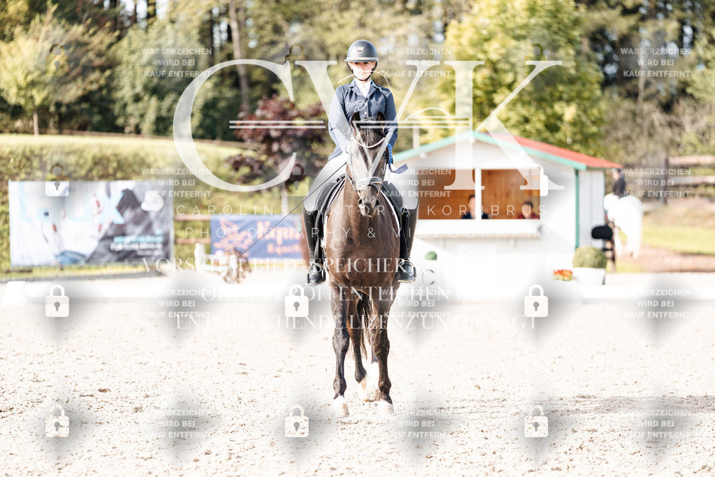 CK901398 | Turnierfotografie Pferdefotografie Trier Rheinland-Pfalz Pferdesport Reitsport Tierfotografie Sportfotografie Pferdevideo Pferdevideografie Equestrianvideography equestrianphotography  - Realisiert mit Pictrs.com