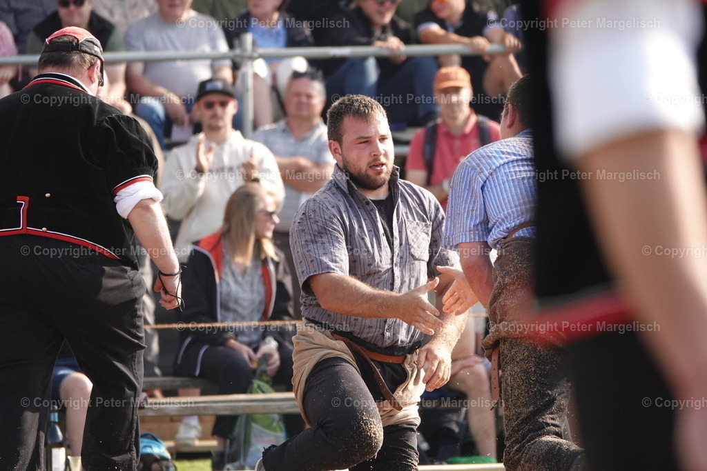 DSC04461 | Schwingen - Realisiert mit Pictrs.com