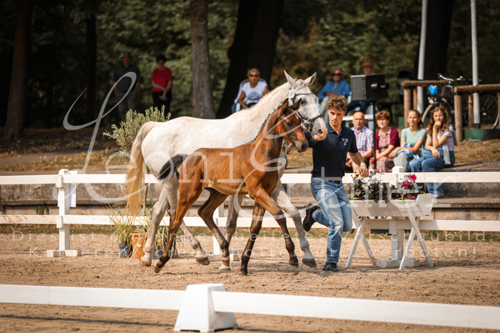 07.DoWBS00088 | Leoni Ertmer Photography - Realisiert mit Pictrs.com