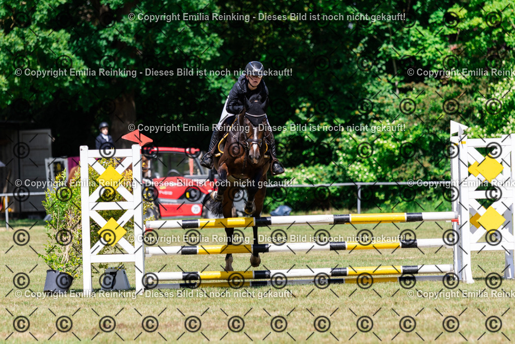 CL5A5739 | Emilia Reinking Fotografie - Realisiert mit Pictrs.com