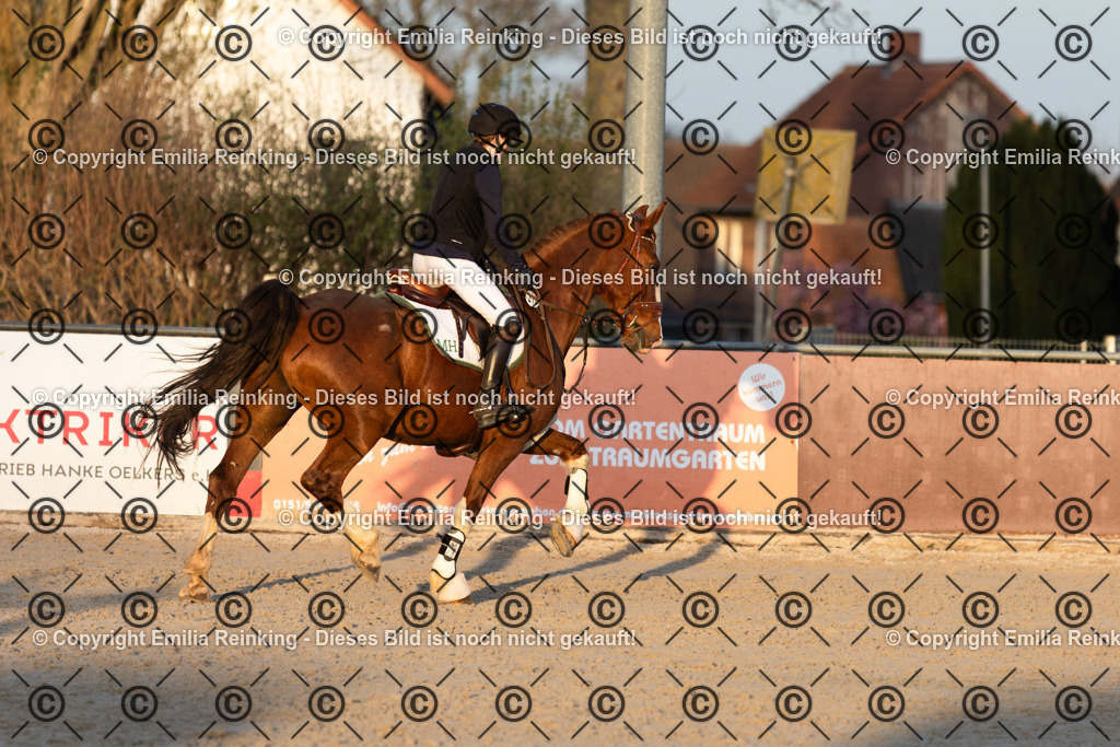 CL5A6423 | Emilia Reinking Fotografie - Realisiert mit Pictrs.com