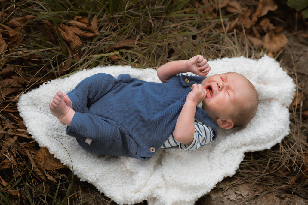 ZD260823162555 | Fotoshop von zweidimensional Fotografie. Ihr Fotograf im Aargau. Abzüge von Ihrem Fotobox Event bestellen.Abzüge von Ihrem Hochzeit bestellen.Abzüge von Ihrem Schulfotograf bestellen.