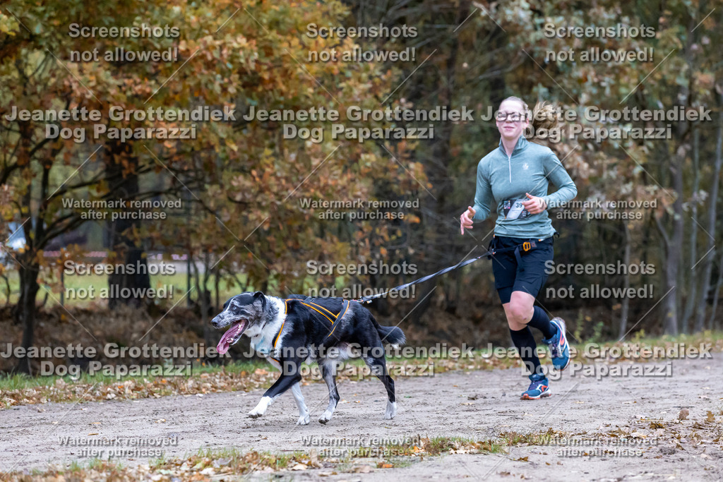 Dog Paparazzi - SD CaniX Championship 2025-306 | Dog Paparazzi Jeanette Grottendiek Fotografie & Videografie - Realisiert mit Pictrs.com