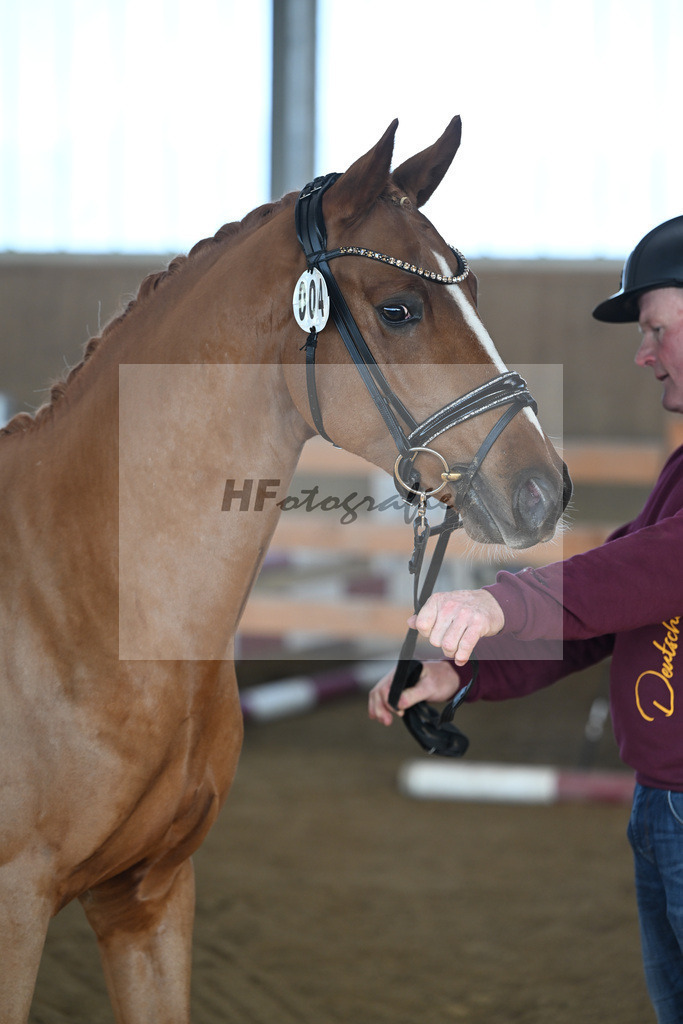 Kat-Nr. 4 Thuraus Giordano v. Giotto_Hummer_49250100 | hf-fotografie - Realisiert mit Pictrs.com